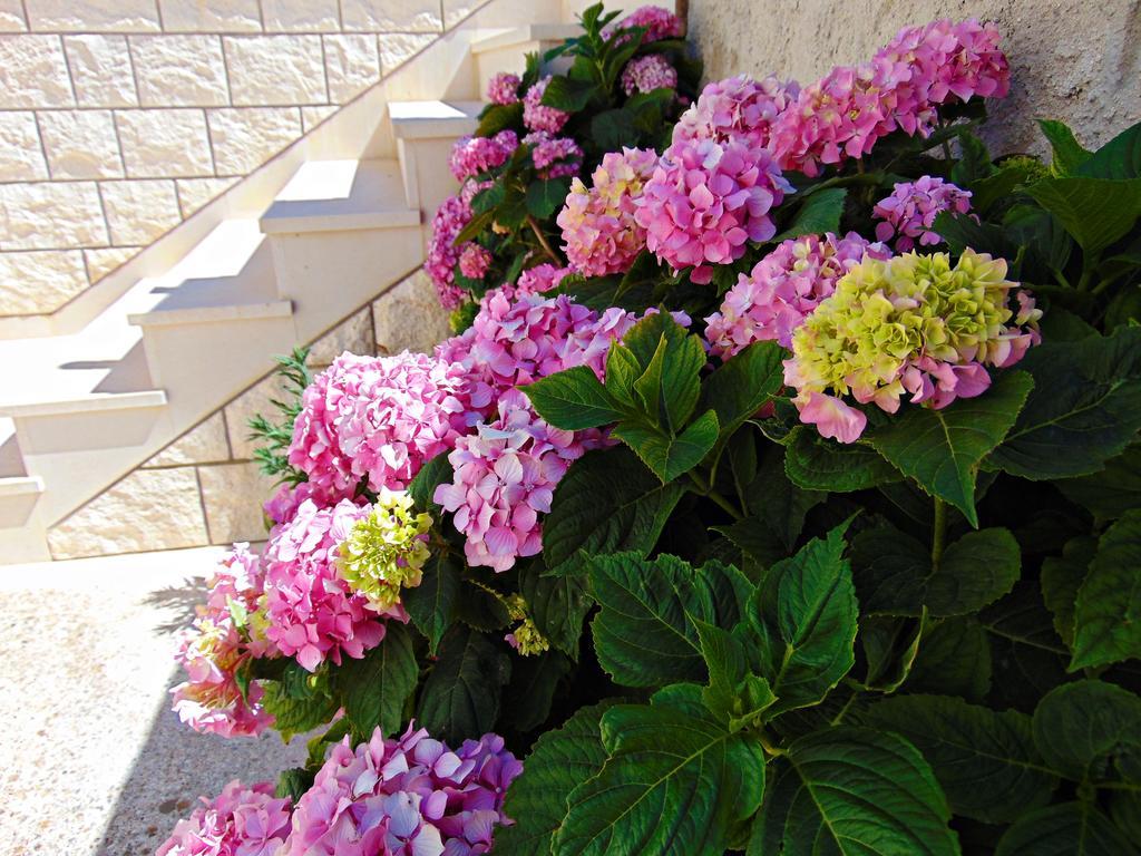 Apartment Baloevic Postira Exterior foto